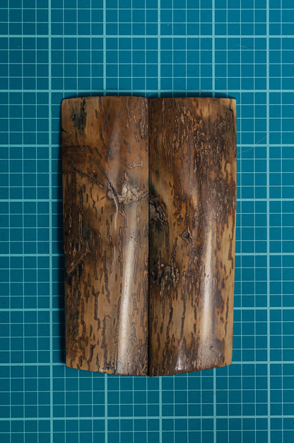 Mammoth Tusk Bark