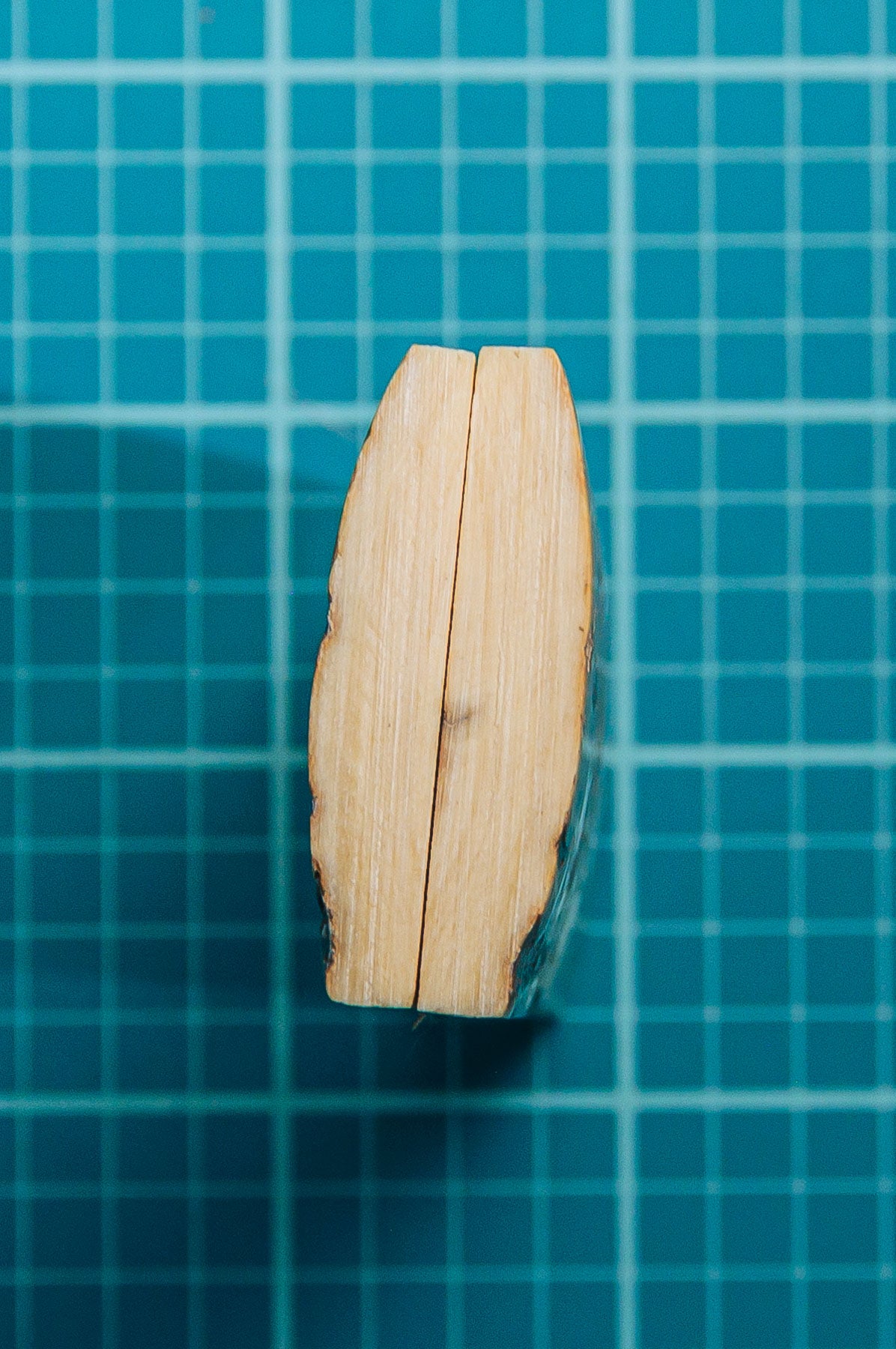 Mammoth Tusk Bark