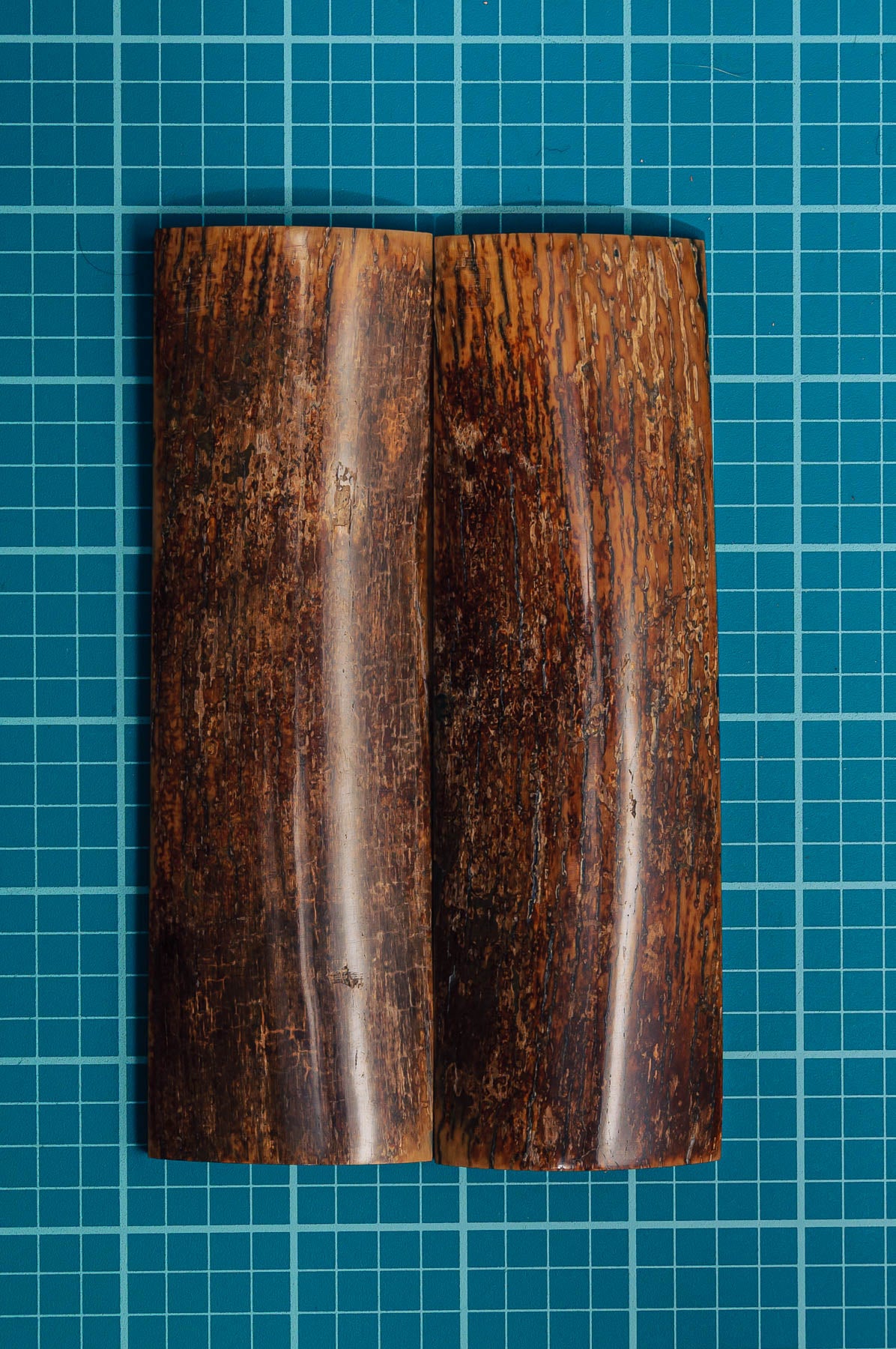 Mammoth Tusk Bark