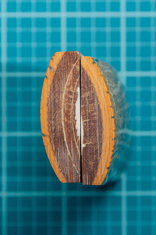 Mammoth Tusk Bark C - Back