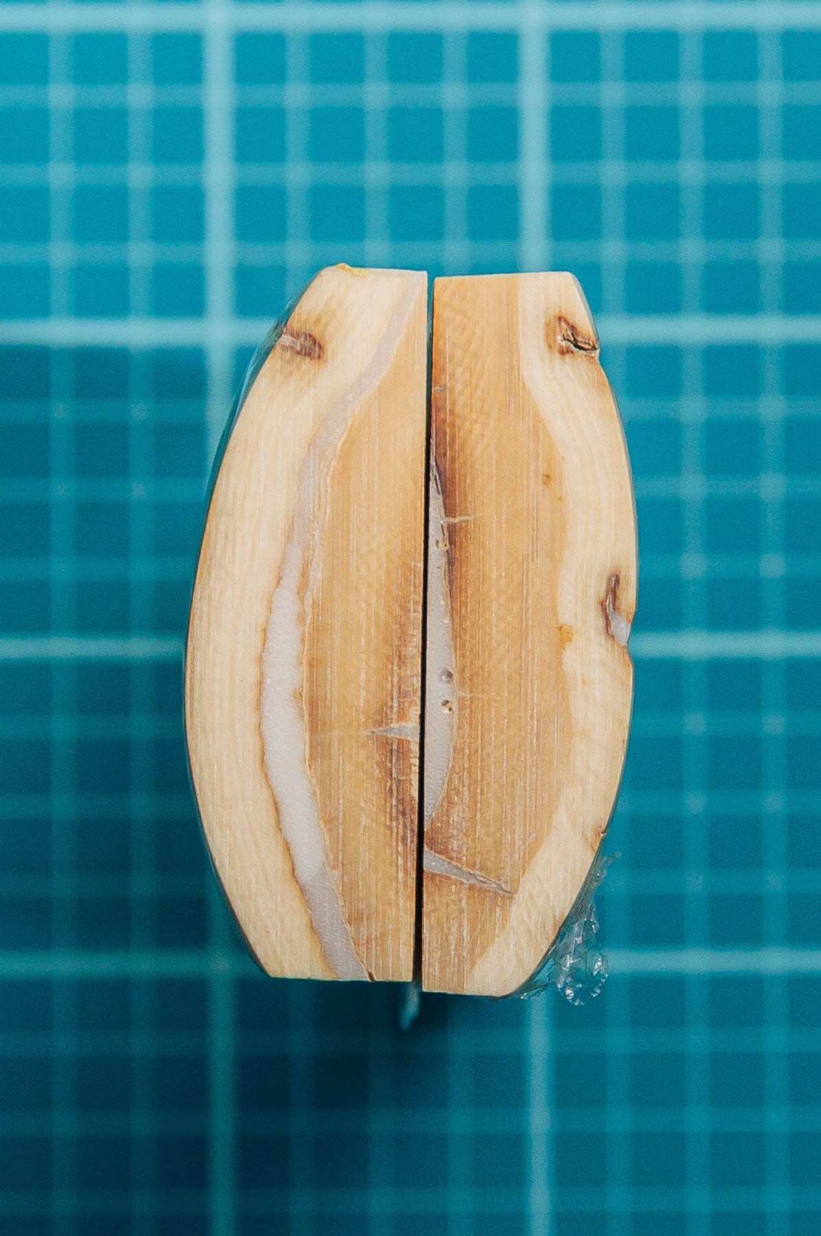 Mammoth Tusk Bark