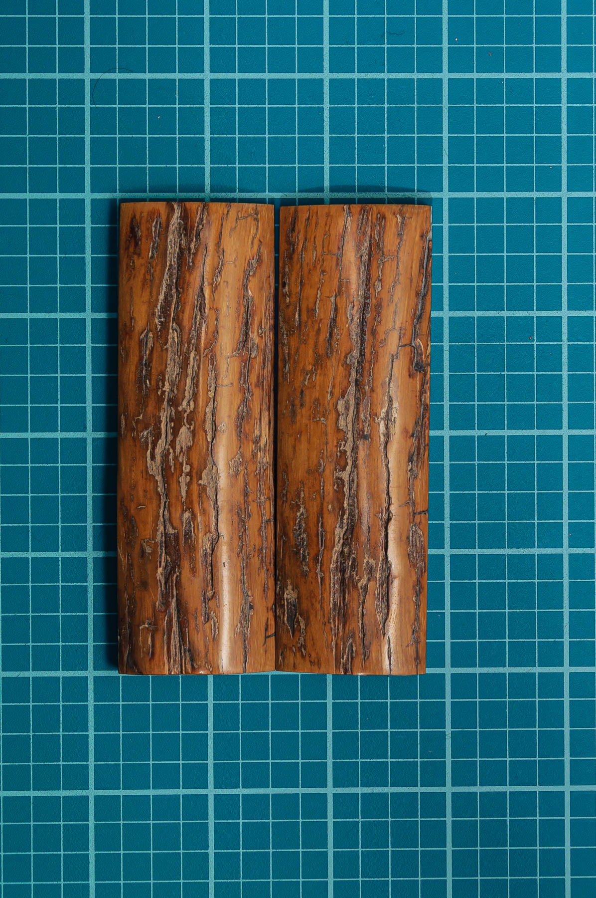 Mammoth Tusk Bark
