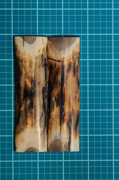 Mammoth Tusk Bark