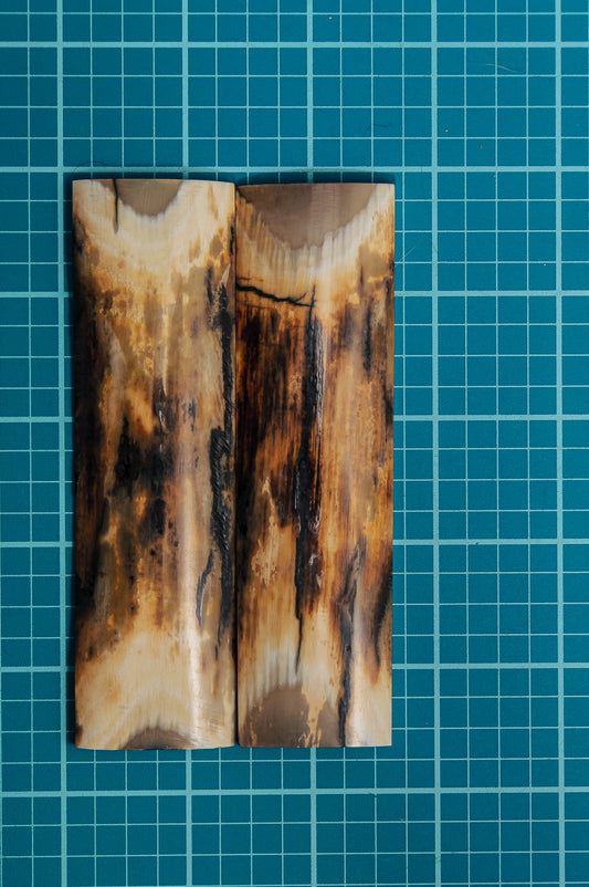 Mammoth Tusk Bark I - Front
