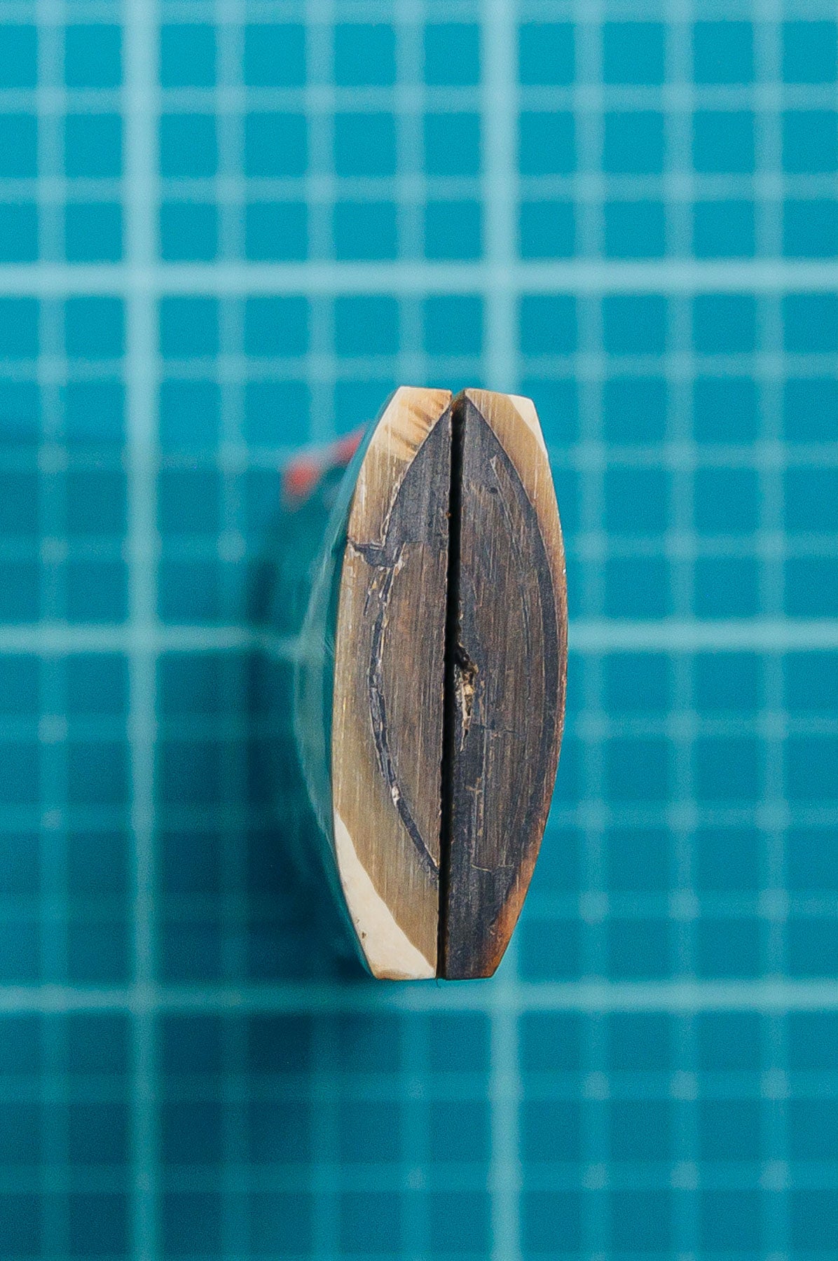Mammoth Tusk Bark