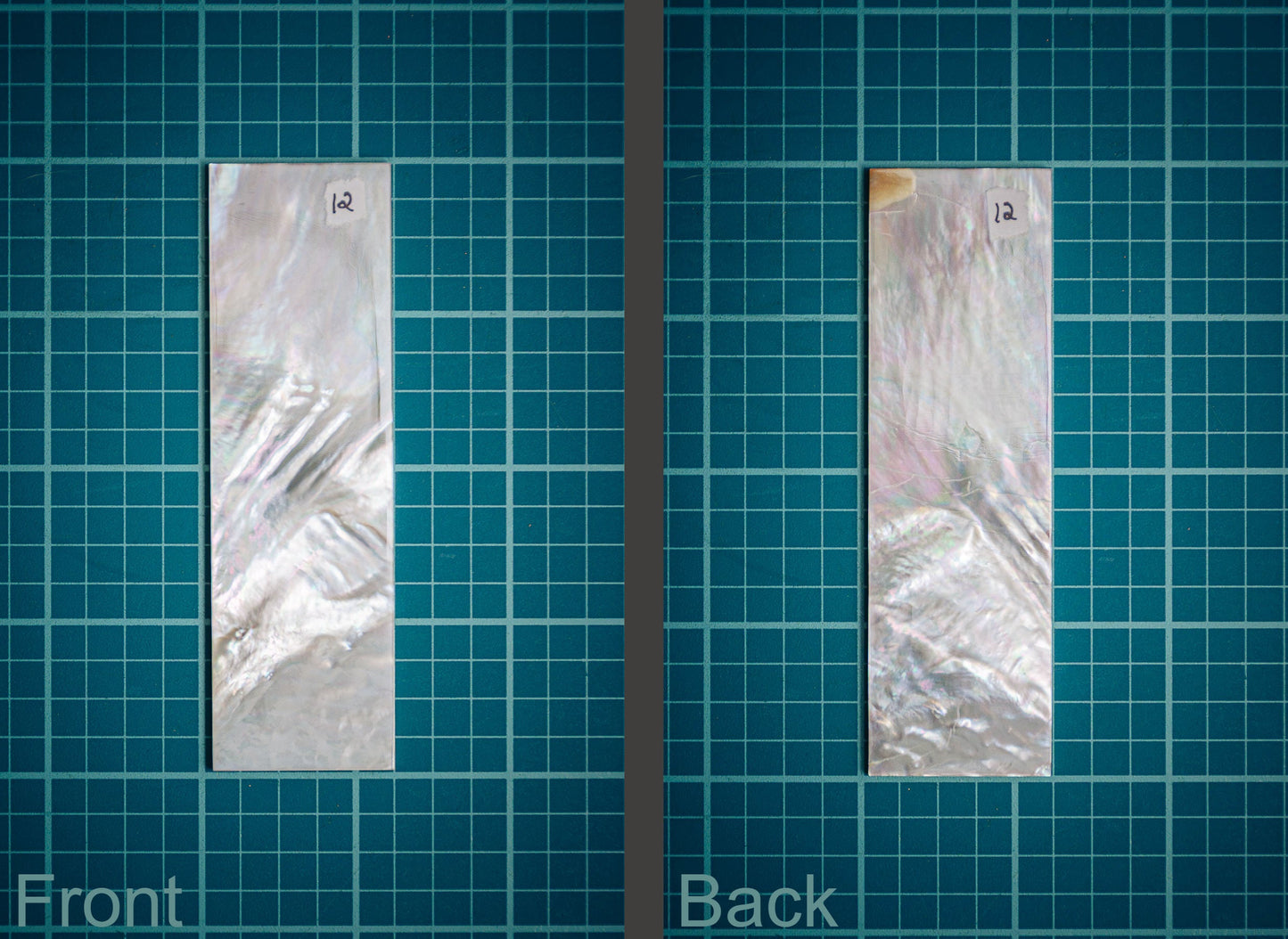 MOP-12
