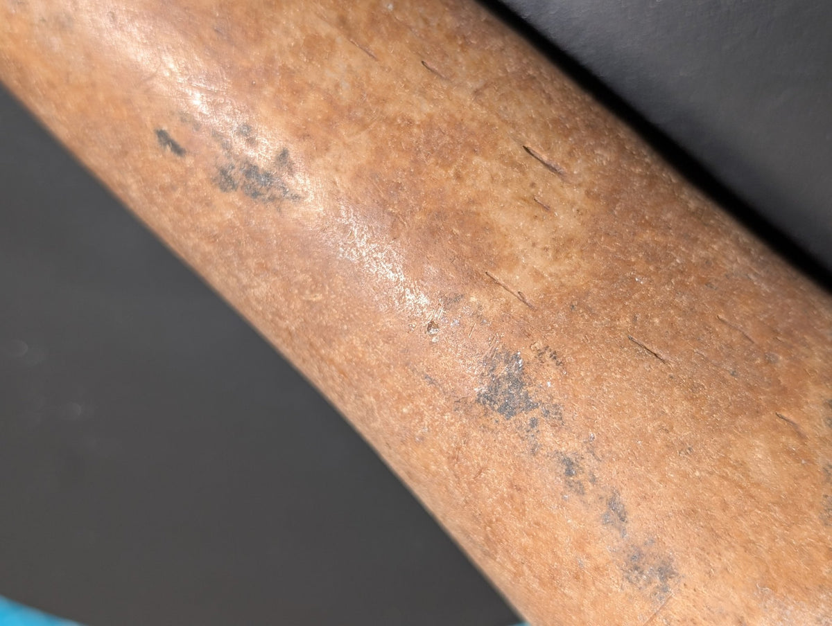 Fossil oosik surface detail
