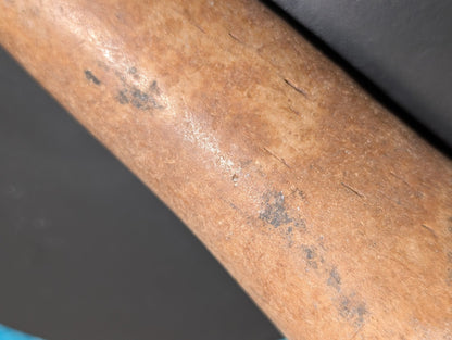 Fossil oosik surface detail